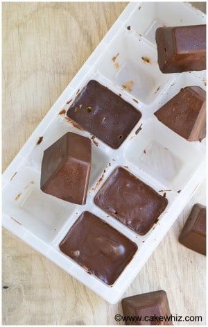 Homemade Gourmet Chocolate {Ice Cube Candy} - CakeWhiz