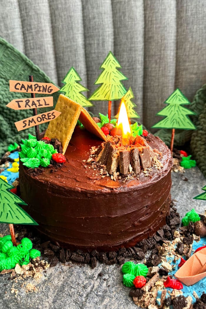 Easy Camping Cake {Indoor Camping Party} - CakeWhiz