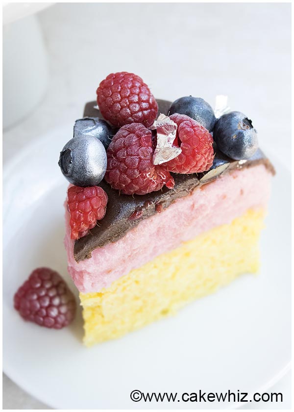 raspberry mousse cake 4
