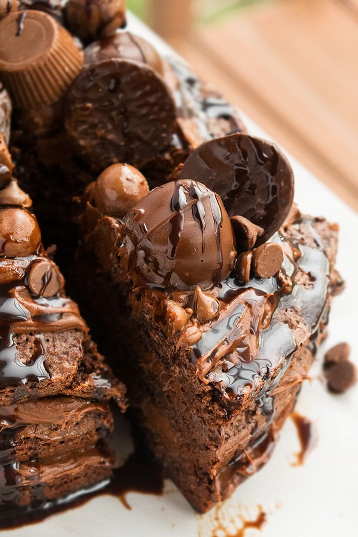 Chocolate Chip Cake Chocolate Frosting