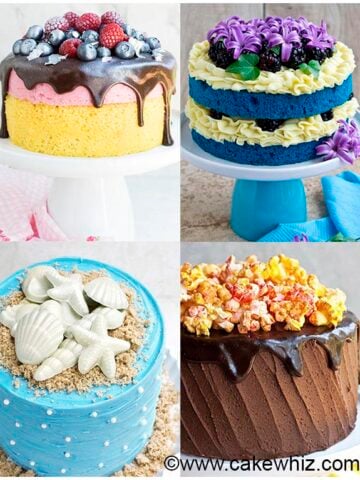 Collage Image With Easy Cake Decorating Ideas For Beginners.