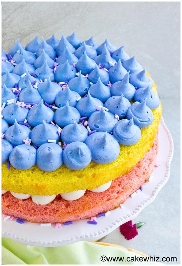 Easy Cake Decorating Ideas CakeWhiz