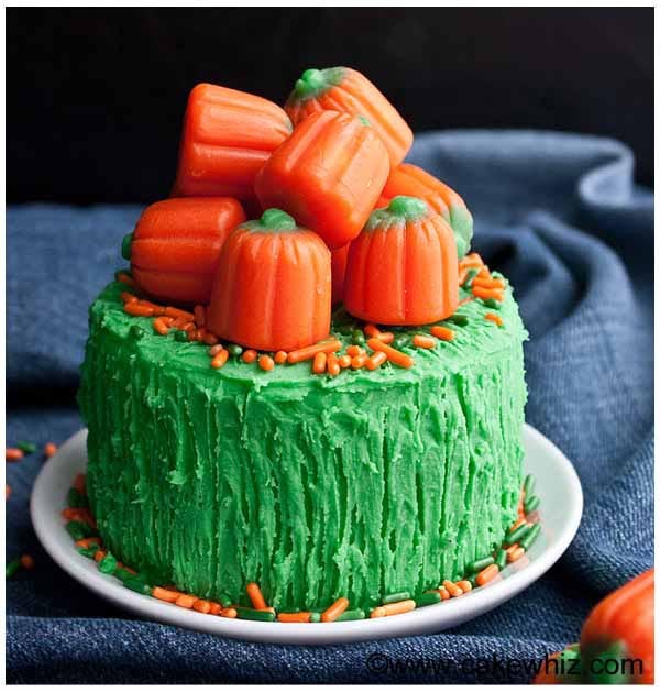 Twizzler Cake Ideas