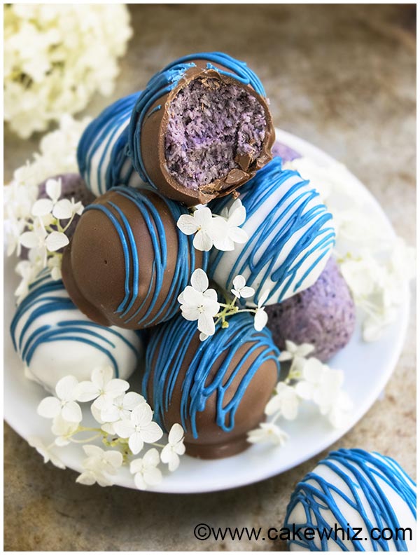 healthy chocolate blueberry truffles recipe 8