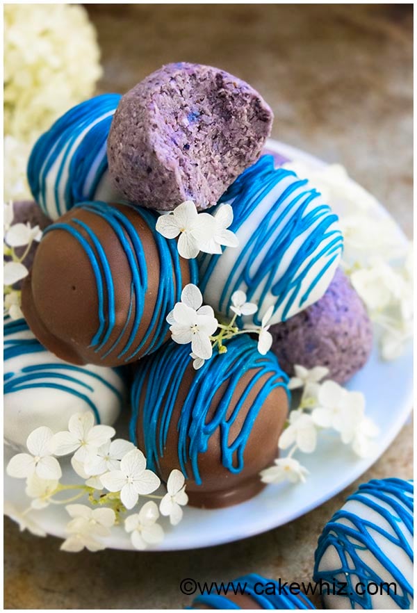 healthy chocolate blueberry truffles recipe 9