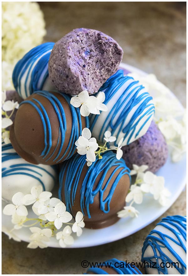 How to make centre filled Blueberry & Truffle flavour chocolates