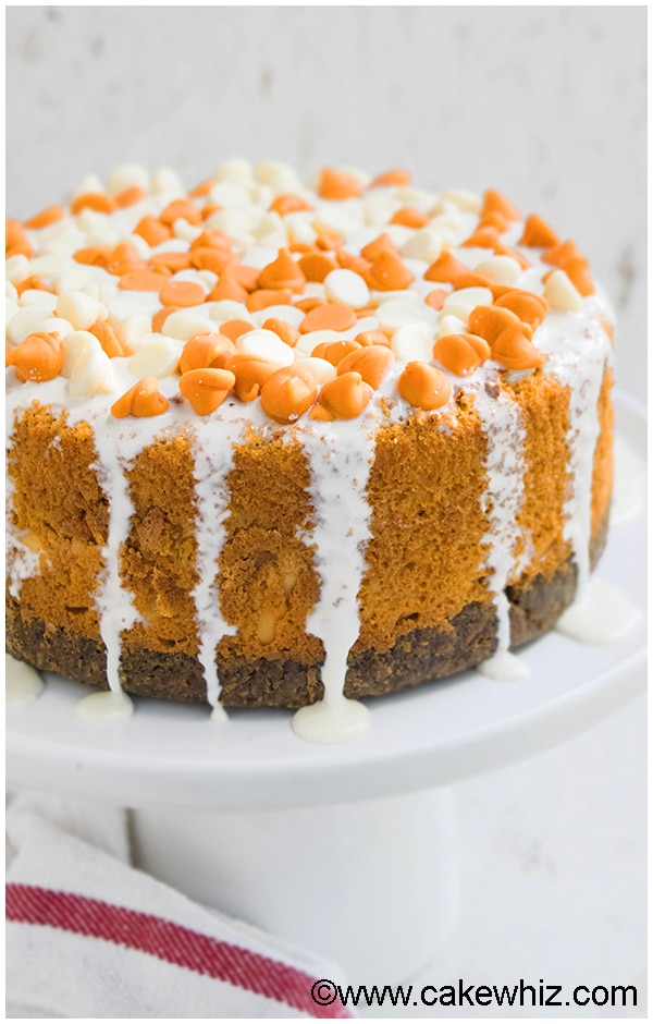 easy pumpkin cheesecake with gingersnap crust 1