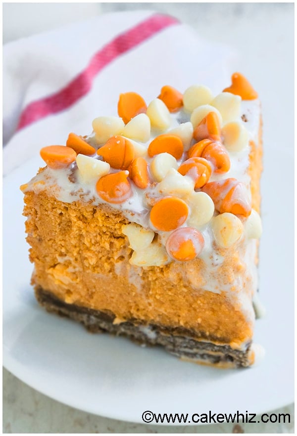 Slice of Pumpkin Pie Cheesecake on Small White Dish- Baked Version 