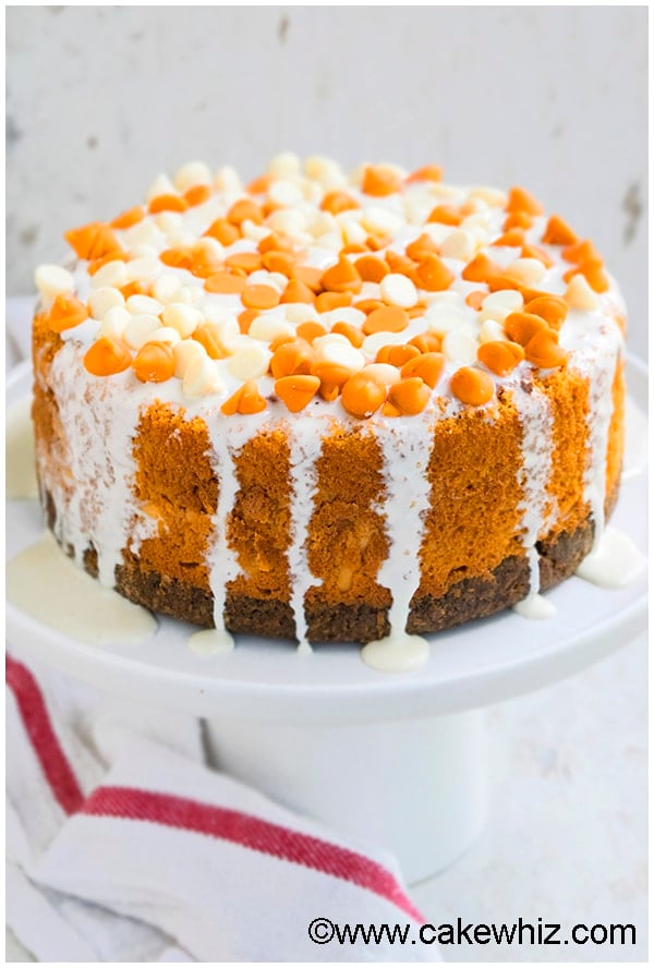 Pumpkin Cheesecake With Gingersnap Crust and White Chocolate Ganache Topping on White Cake Stand 