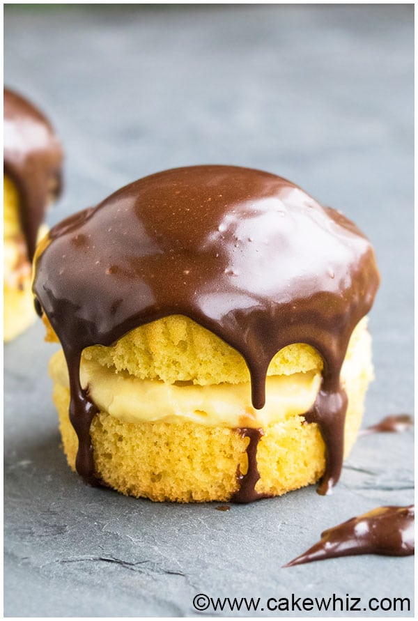 Boston Cream Cupcakes on Gray Background