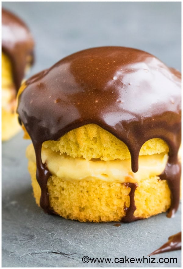 Easy Boston Cream Pie Cupcakes on Gray Background