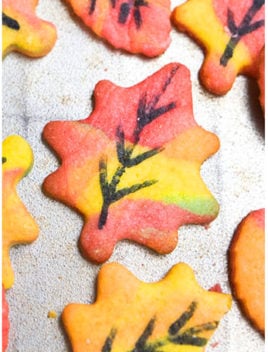 Easy Fall Cookies (Leaf Sugar Cookies) on Rustic Gray Background