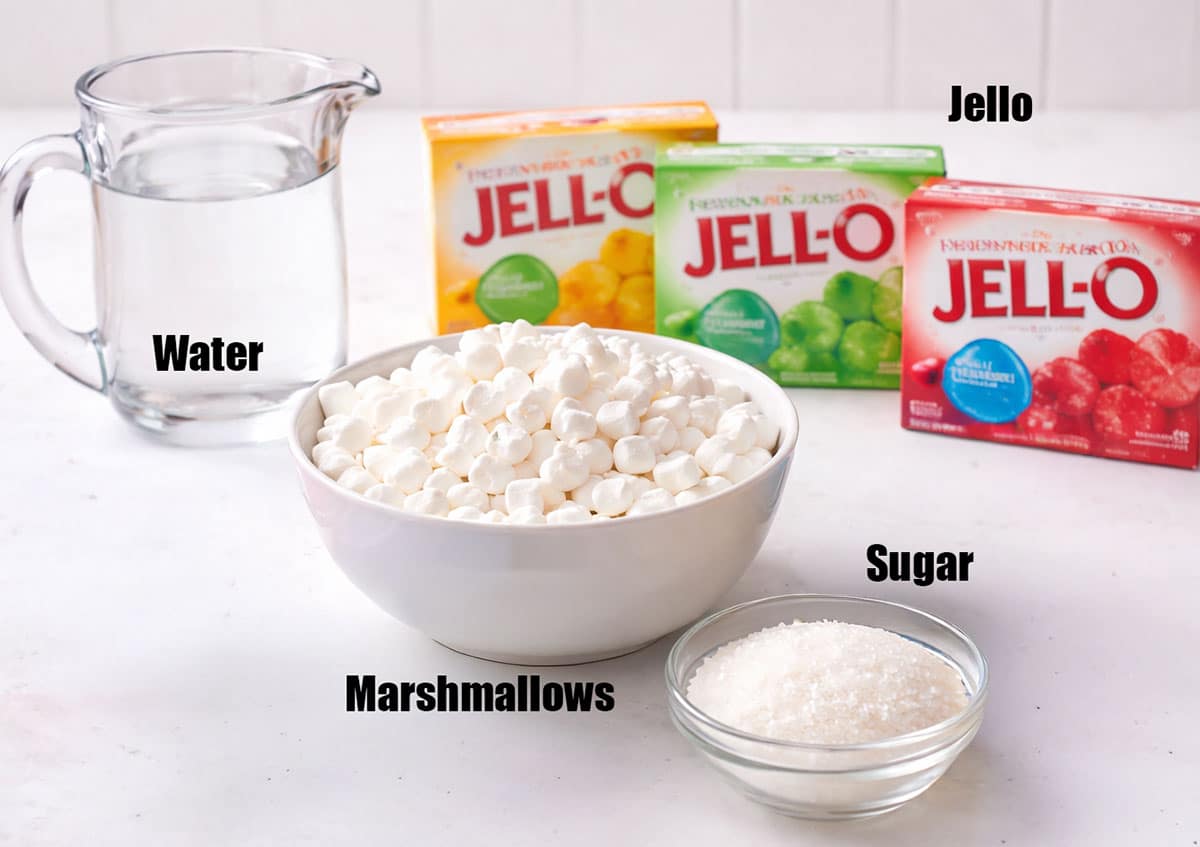 Ingredients for recipe on white background. 