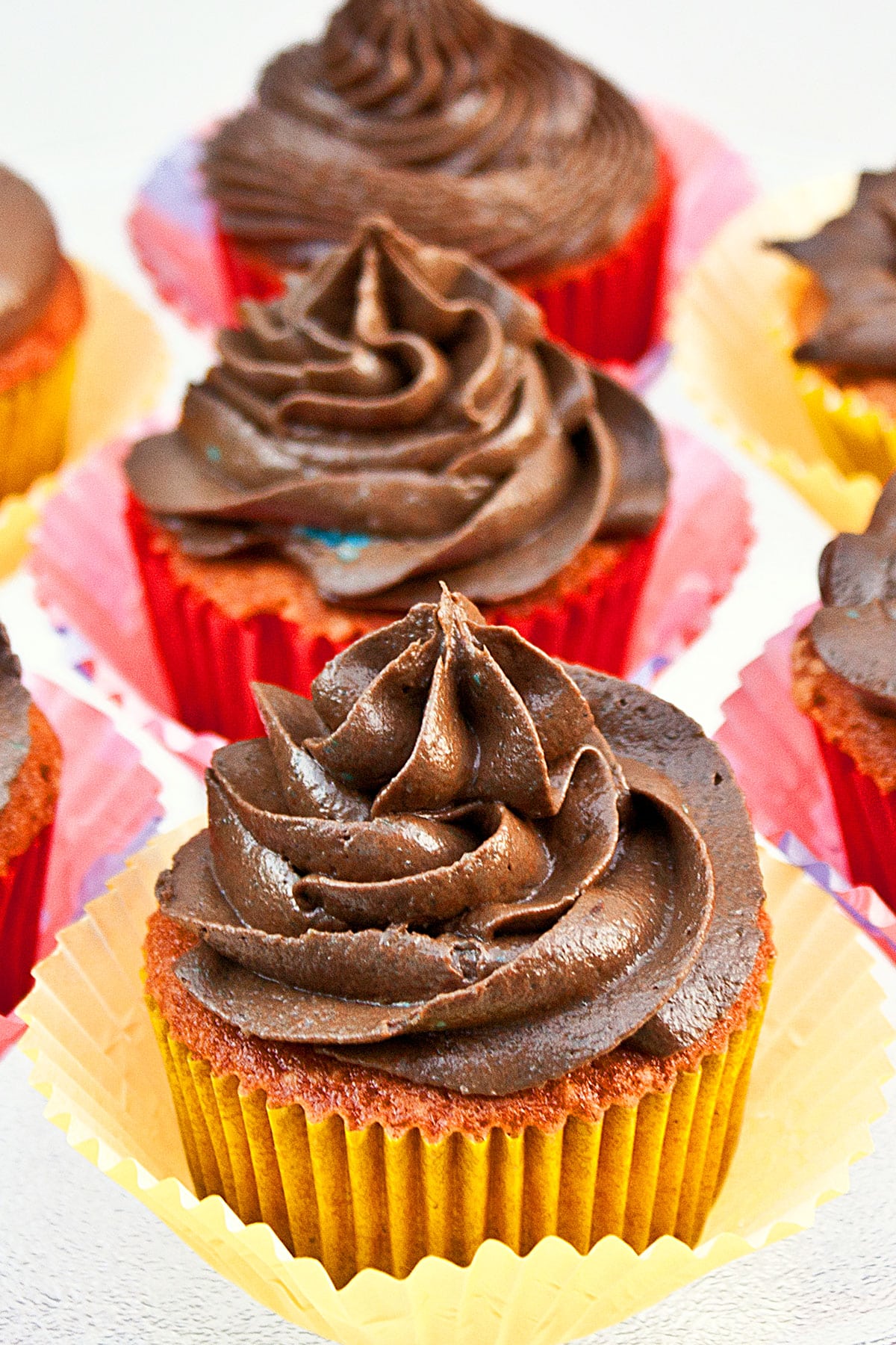 Chocolate buttercream frosting piped on top of cupcake. 