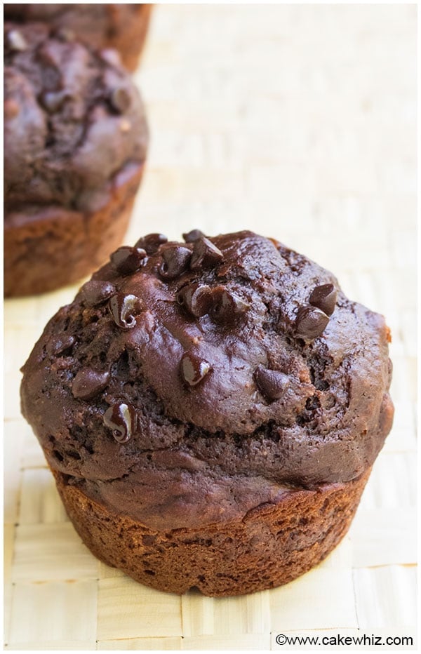 Best Healthy Chocolate Muffins With Chocolate Chips on Light Brown Background. 