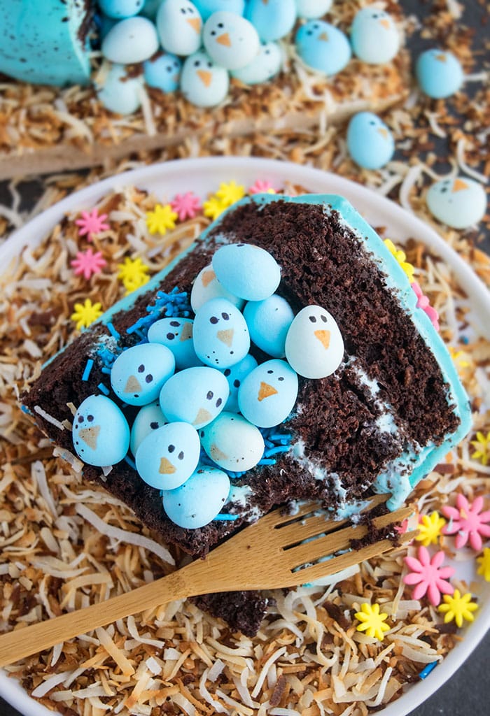 Slice of Chocolate Cake With Surprise Filling on White Plate