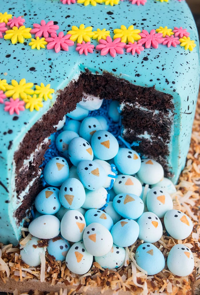 Closeup Shot of Filled Cake With Lots of Candies- Closeup Shot.