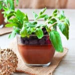 Easy Mini Chocolate Pudding Pots or Dirt Pudding Cups With Oreos and Fresh Mint on Rustic Brown Background.