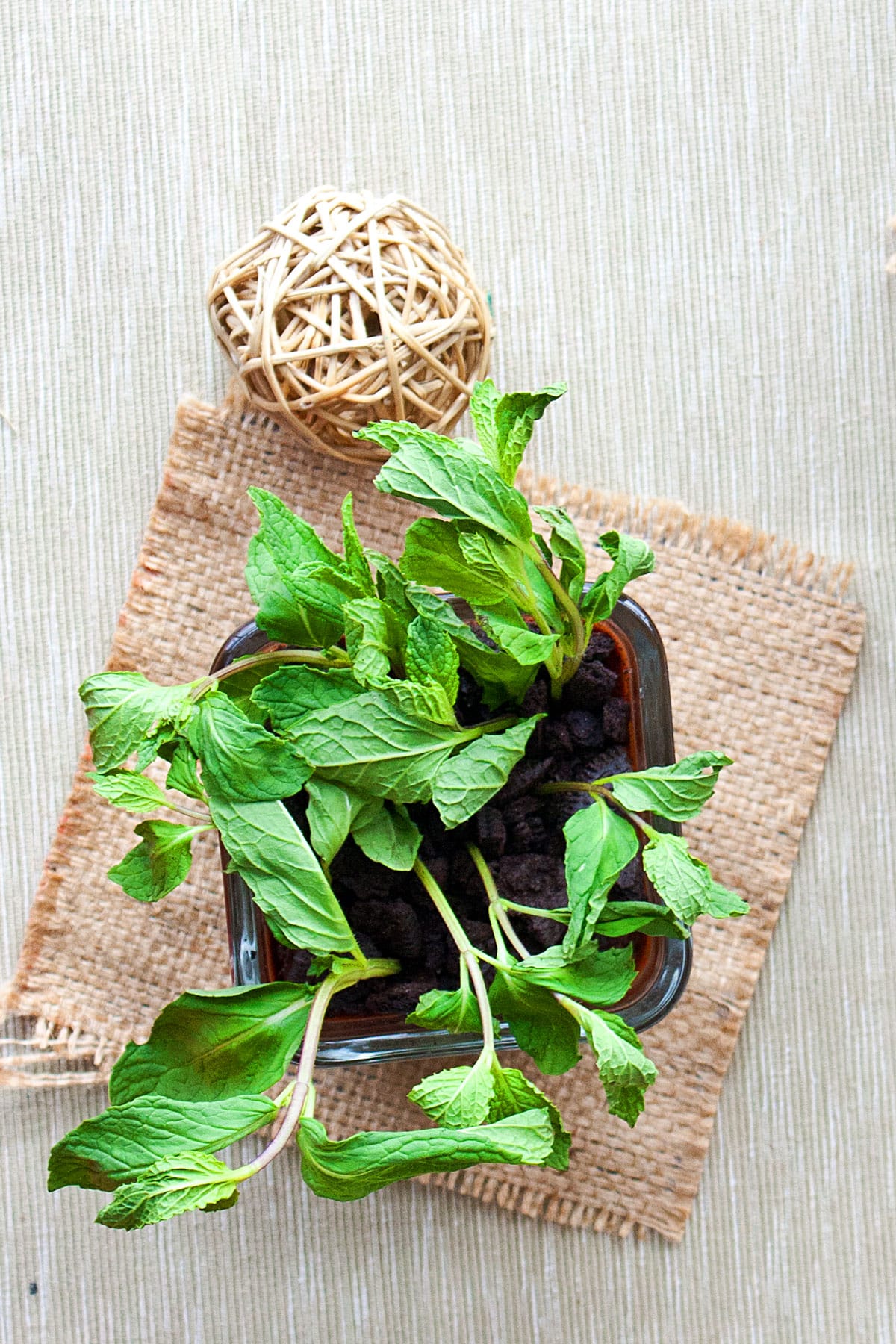 Mini Dessert Cups With Oreos and Mint- Overhead Shot.