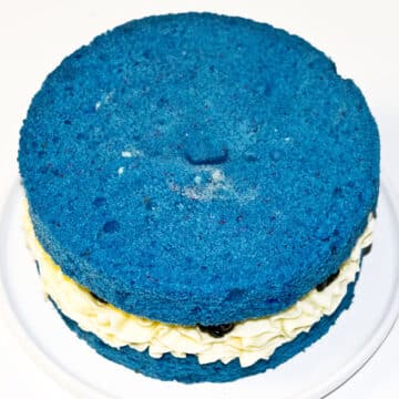 Second cake layer placed on top of frosting.
