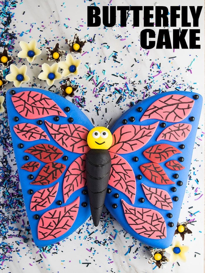 Butterfly Birthday Cake on White Background with Sprinkles- Overhead Shot