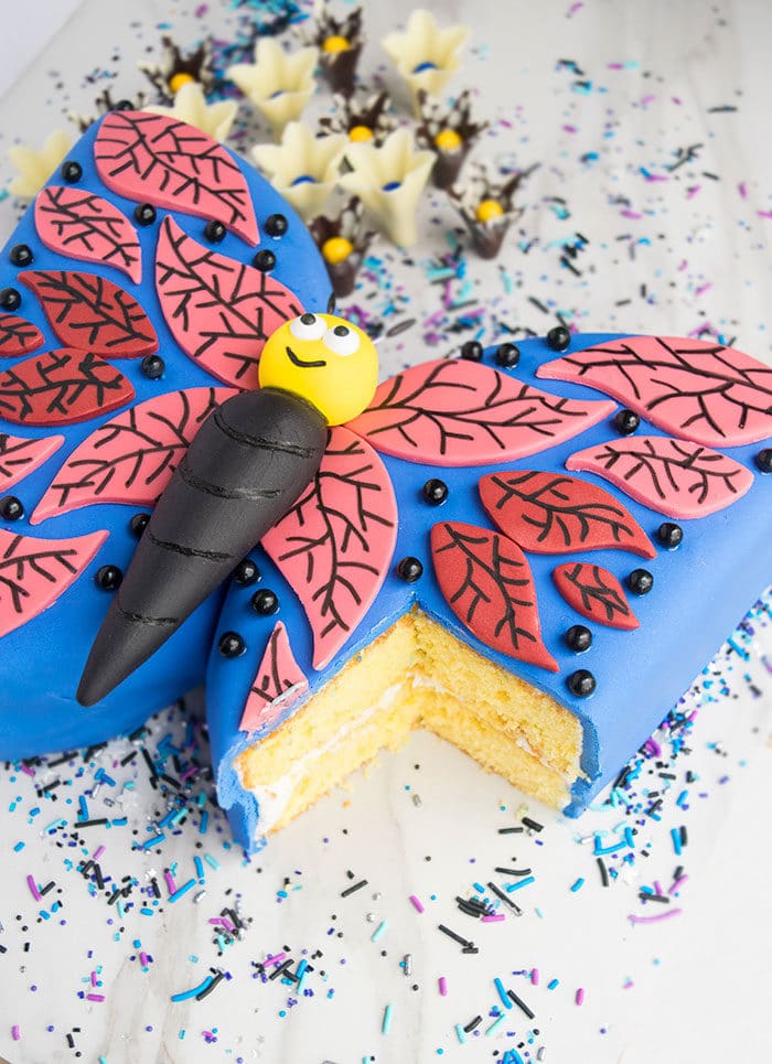 Easy Homemade Butterfly Shaped Cake With One Slice Removed