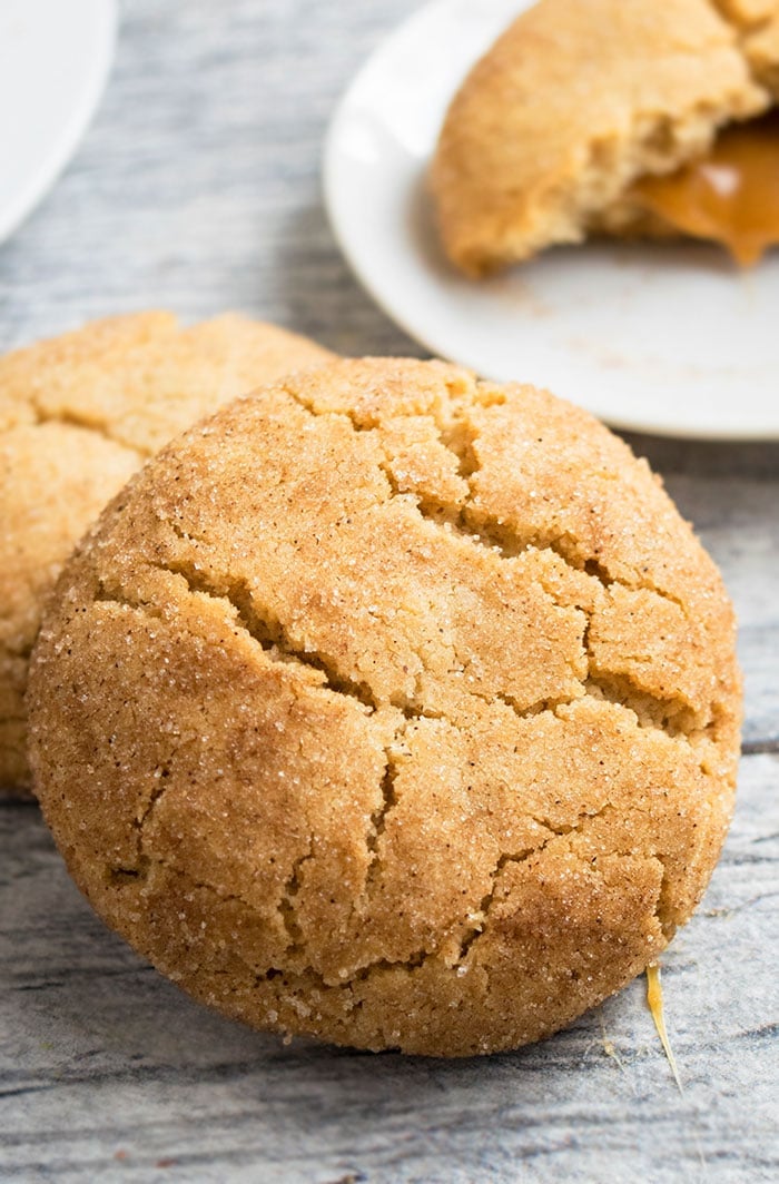 Best Snickerdoodle Cookies on Rustic Gray Background.