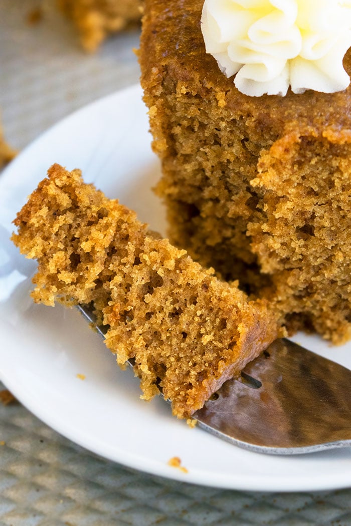 Best Gingerbread Recipe 