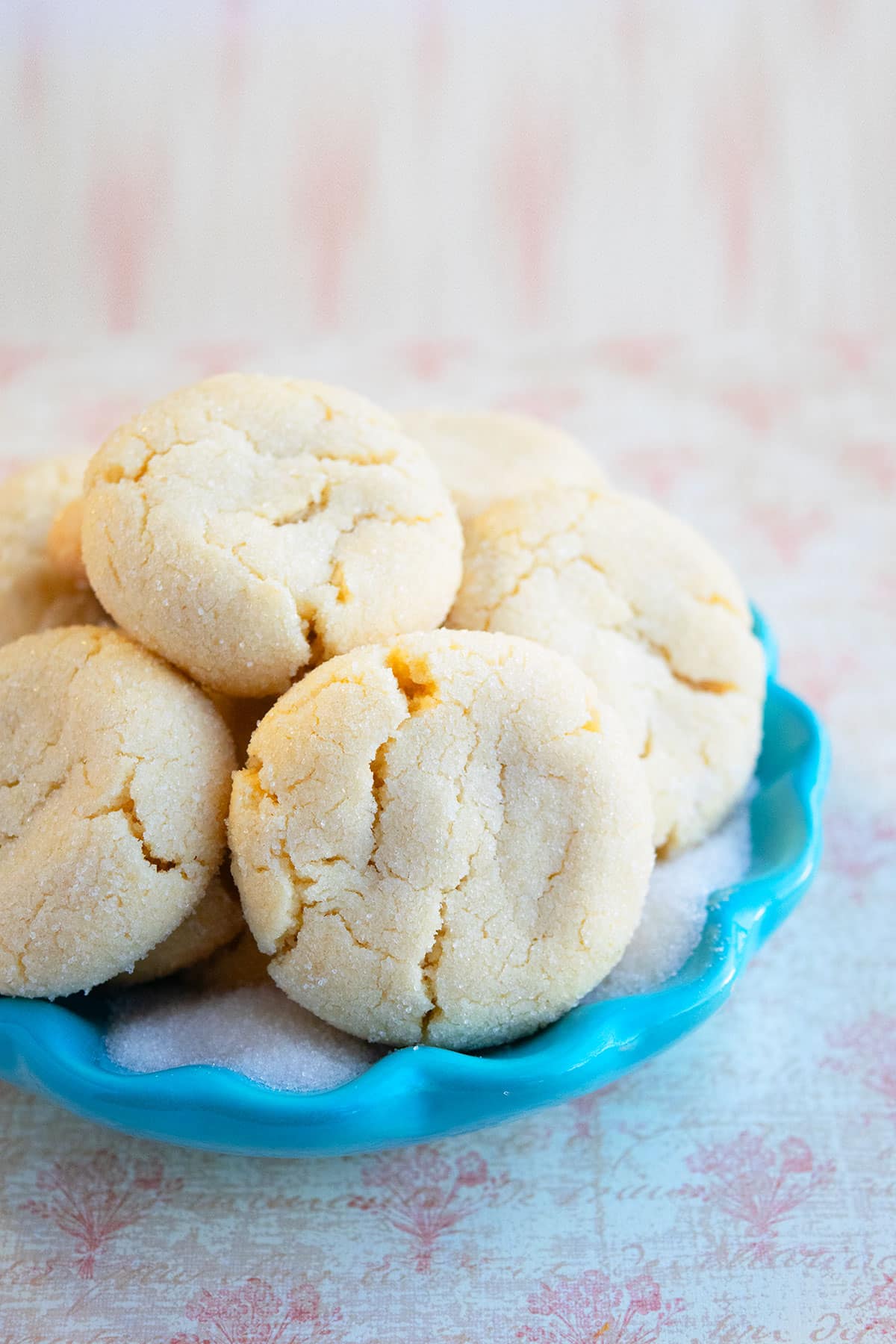 Best Old Fashioned Cookies in Blue Dish.