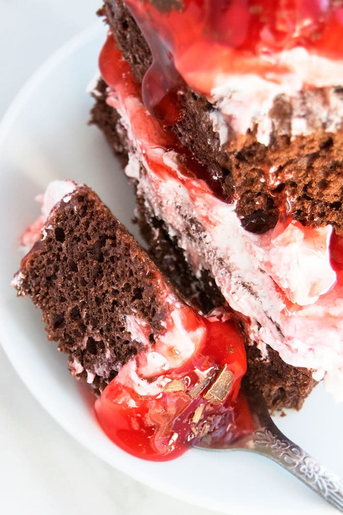Spoonful of Cake on White Dish- Closeup Shot