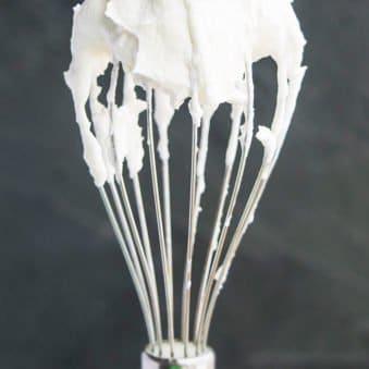 Easy Stabilized Homemade Whipped Cream With Gelatin on a Whisk.