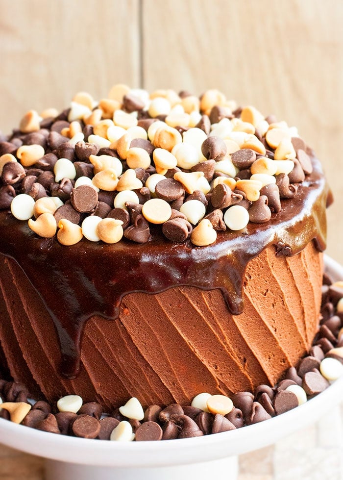 Chocolate Coffee Cake CakeWhiz