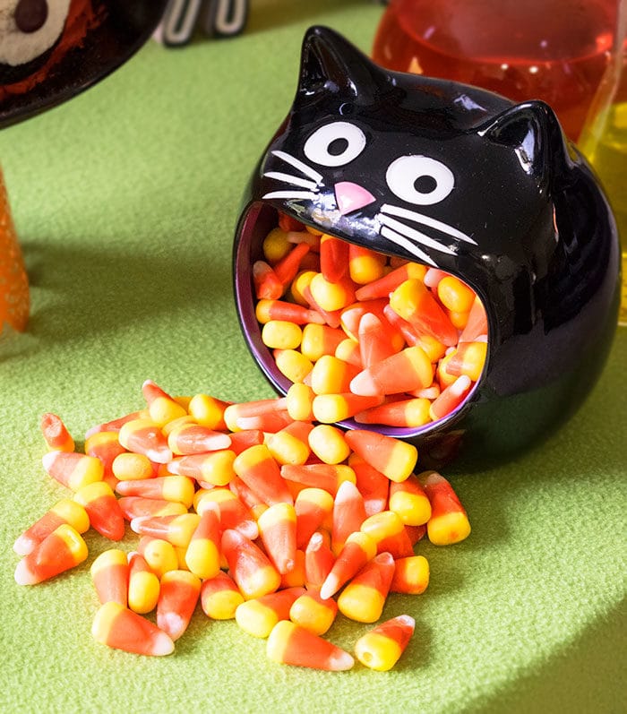 Halloween Candies Served in Black Cat Mouth