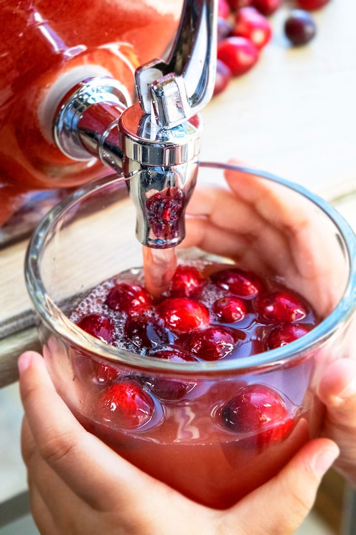 Cranberry Christmas Punch For Kids