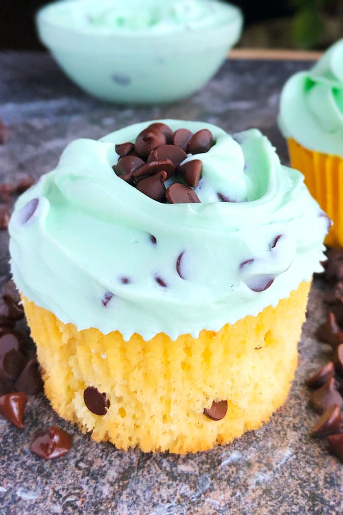 Mint Chocolate Chip Cupcakes Recipe
