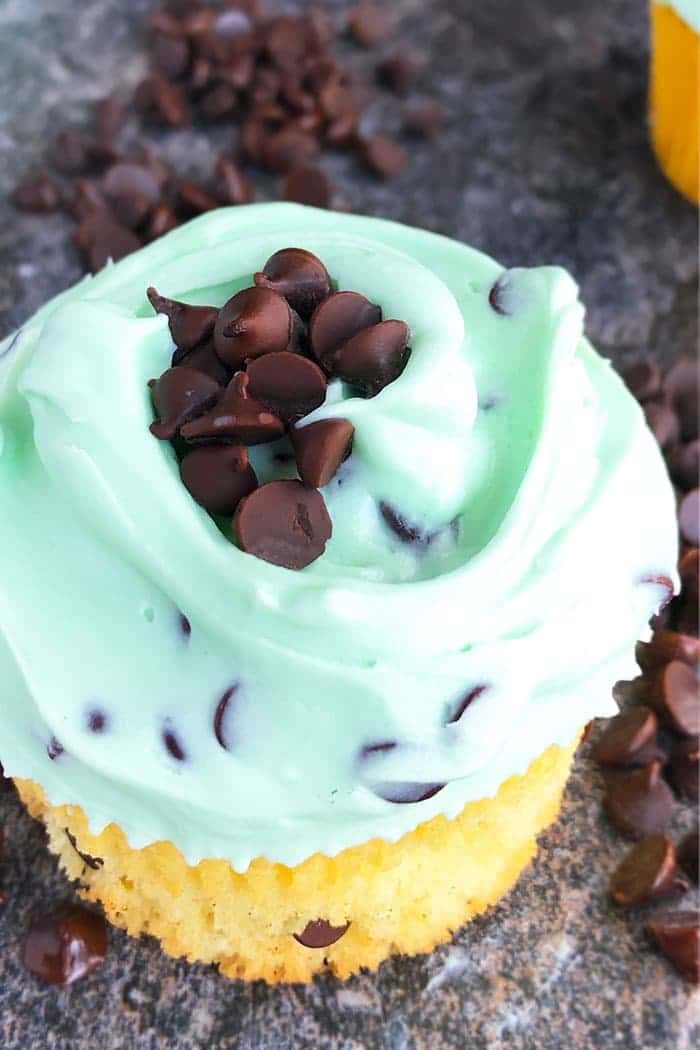 Homemade Chocolate Chip Cupcake Recipe