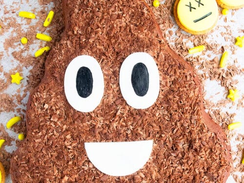 Poop Emoji Cake | chef erin's kitchen