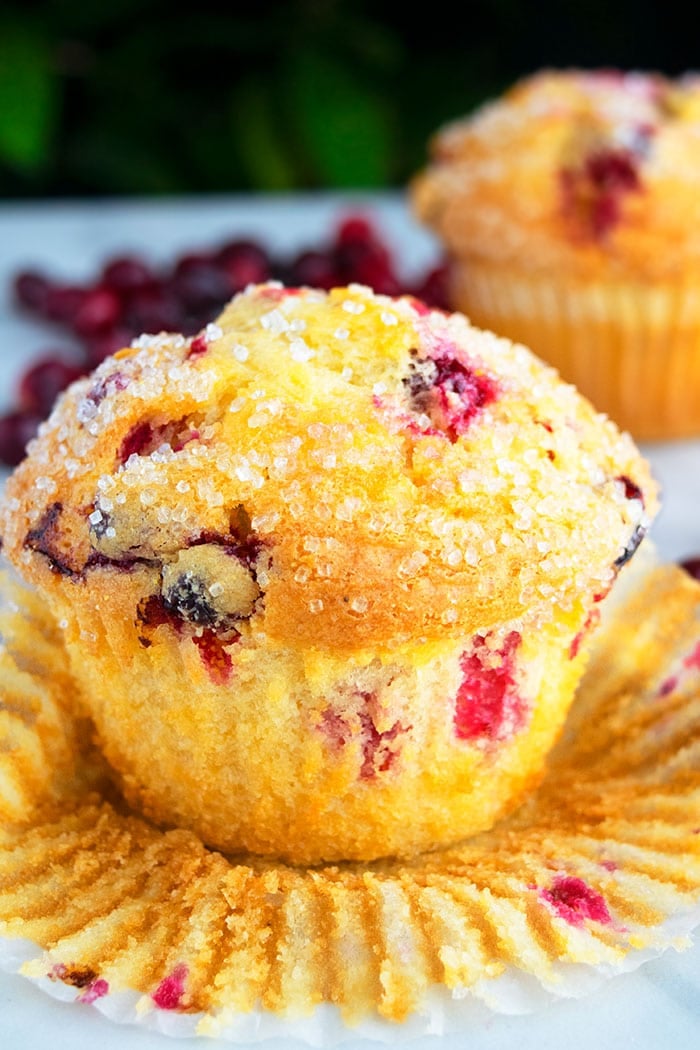 Quick and Easy Cranberry Orange Muffins With Liner Partially Removed on White Background