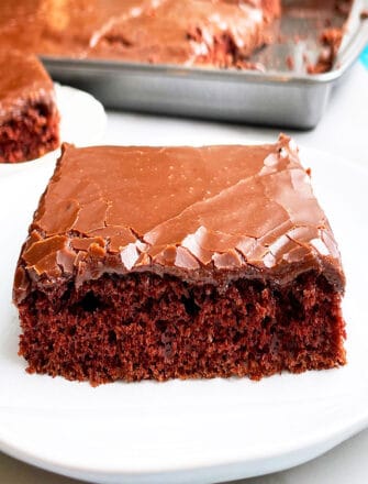 Slice of Texas Sheet Cake With Chocolate Glaze on White Plate