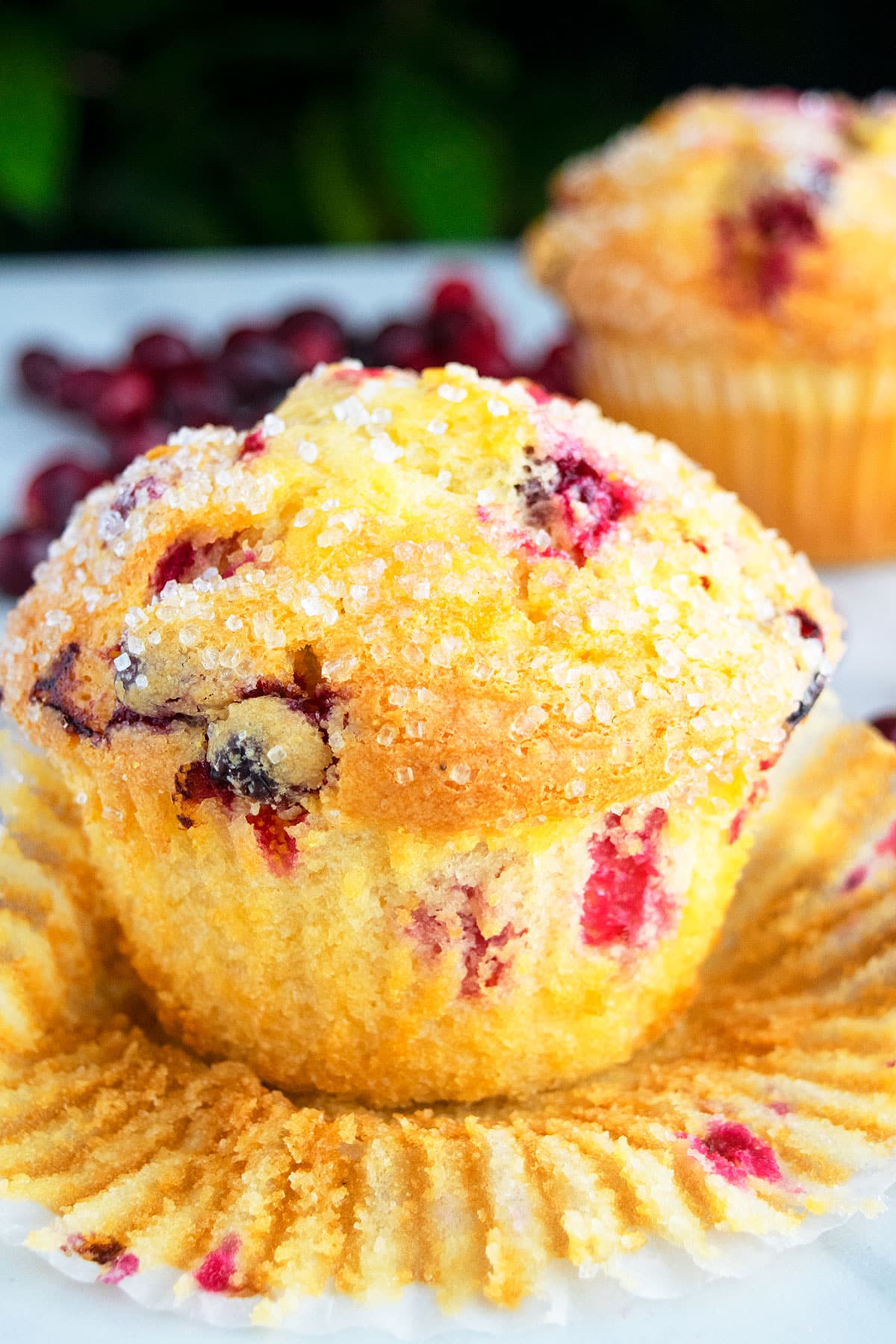Easy Cranberry Orange Muffins With Liner Partially Removed on White Background.