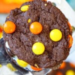 Closeup Shot of Easy Soft and Chewy Reeses Cookies With Cake Mix on Large Spatula