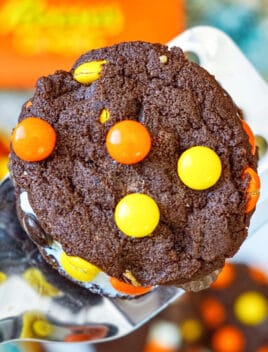 Closeup Shot of Easy Soft and Chewy Reeses Cookies With Cake Mix on Large Spatula