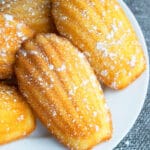 Easy French Madeleines Cookies/ Cakes on White Plate and Gray Background