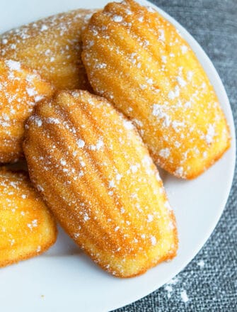 Easy French Madeleines Cookies/ Cakes on White Plate and Gray Background