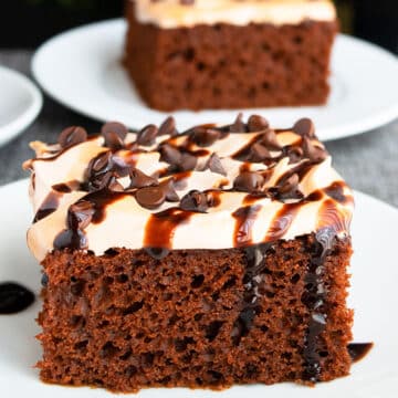 Mexican Chocolate Cake {With Cake Mix} - CakeWhiz