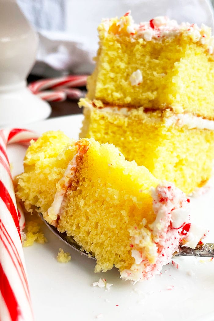 Spoonful of Vanilla Cake With Crushed Candy Canes
