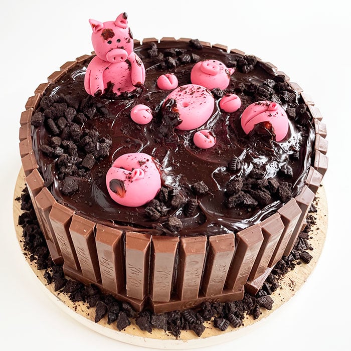 Decorated Chocolate Cake With Fondant Pigs