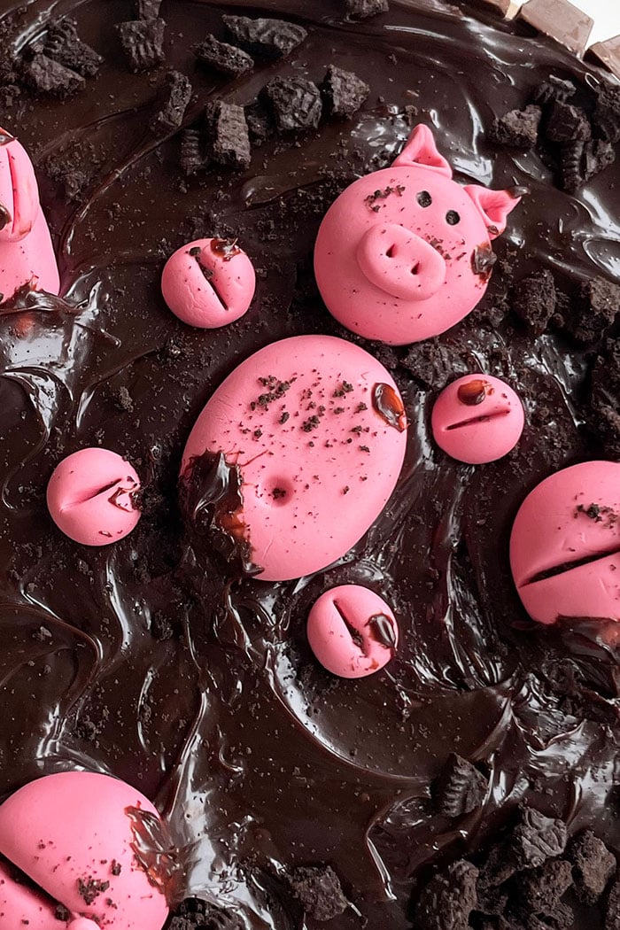 Pink Fondant Pig Lying in Mud (Chocolate Ganache) on Top of Cake