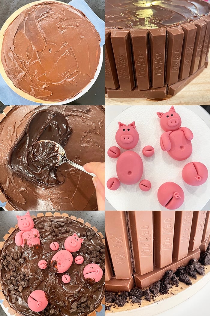 Collage Image With Step By Step Pictures on How to Make Pig Cake