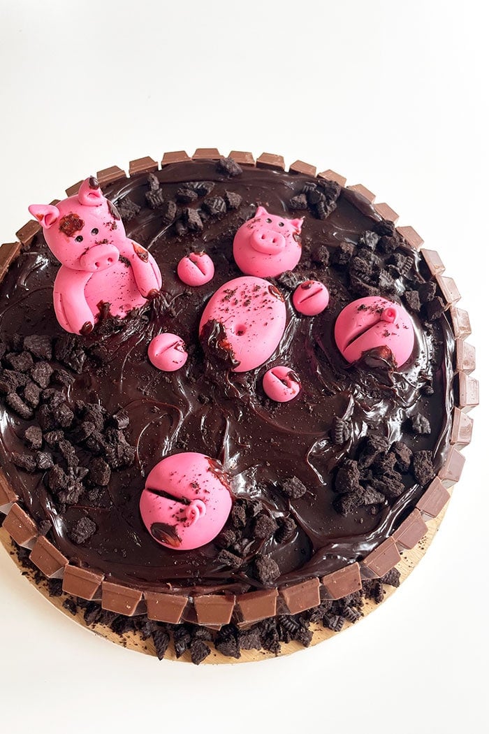 Fondant Pigs on Top of Chocolate Cake 